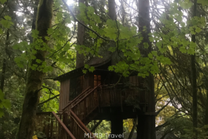 Treehouse Point
