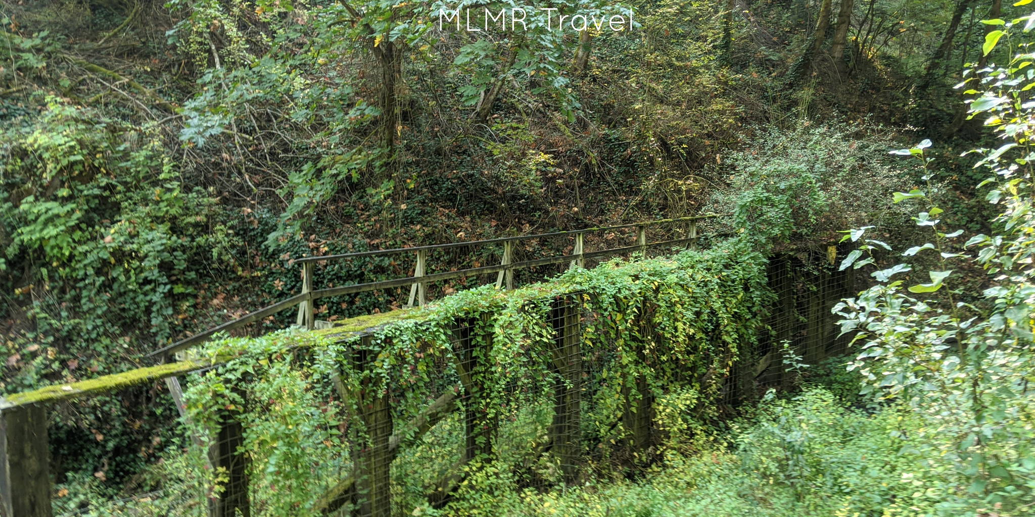 Best Hikes Near Portland