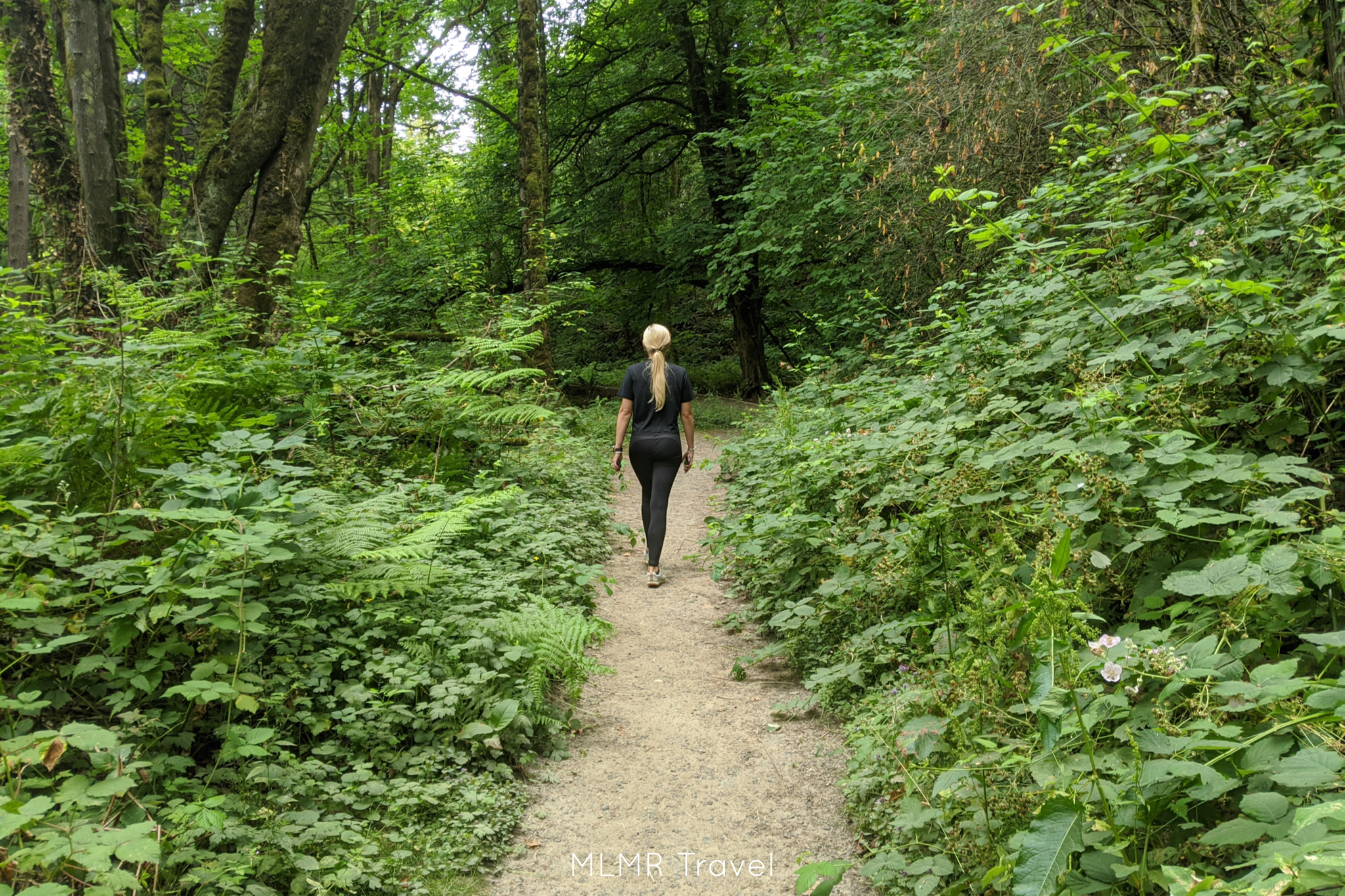 Day hikes in Portland
