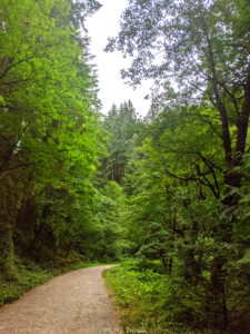 Portland Hiking Trails