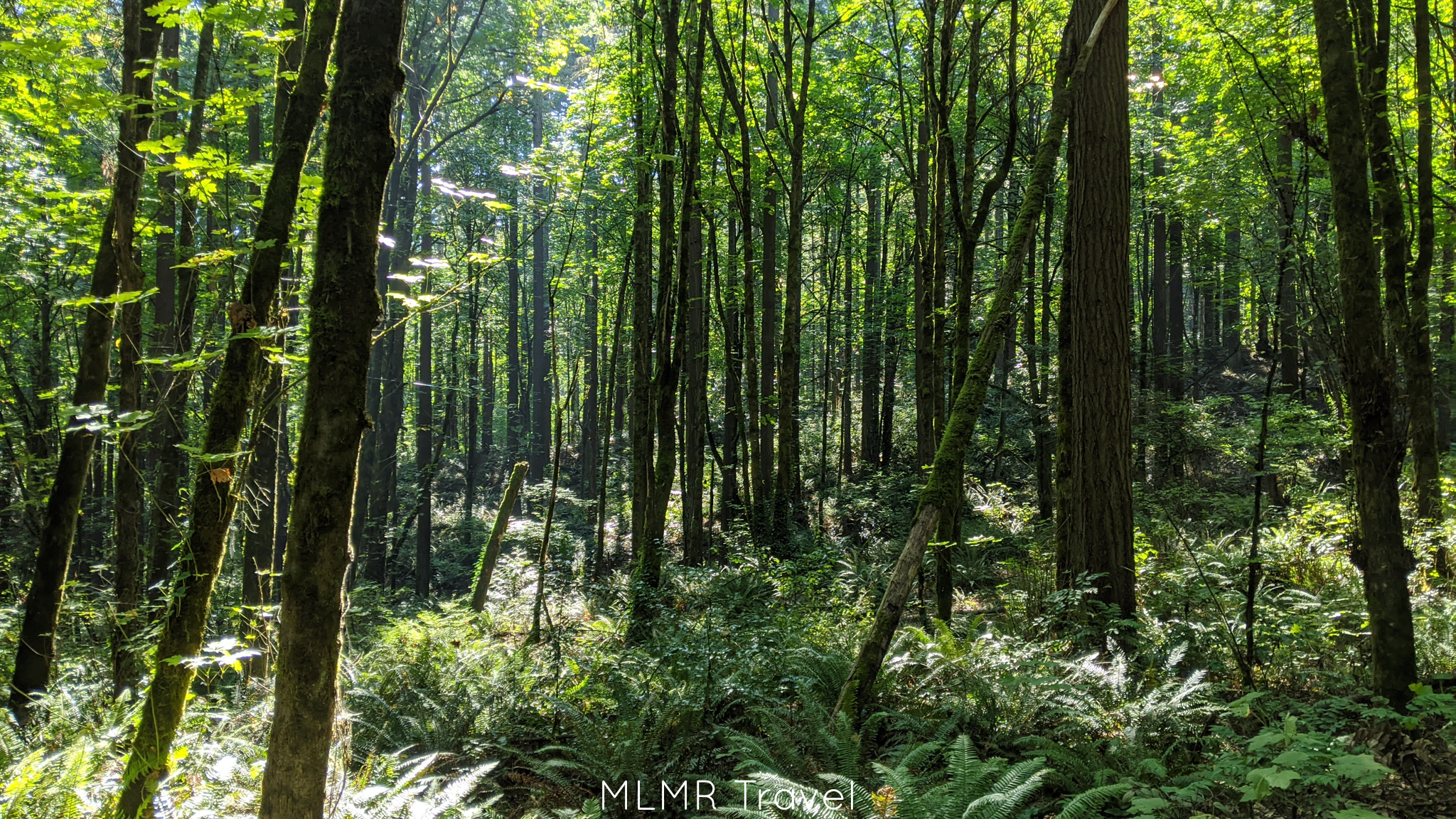 Favorite hiking spots in Portland