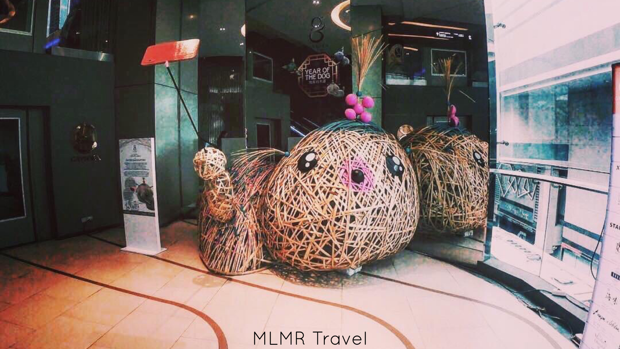 daily blogging tasks you can easily do from your phone