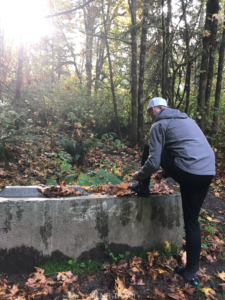 Hiking Gear Depending of the Type of Hike