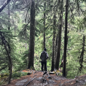 Hiking Gear for Different Hikes