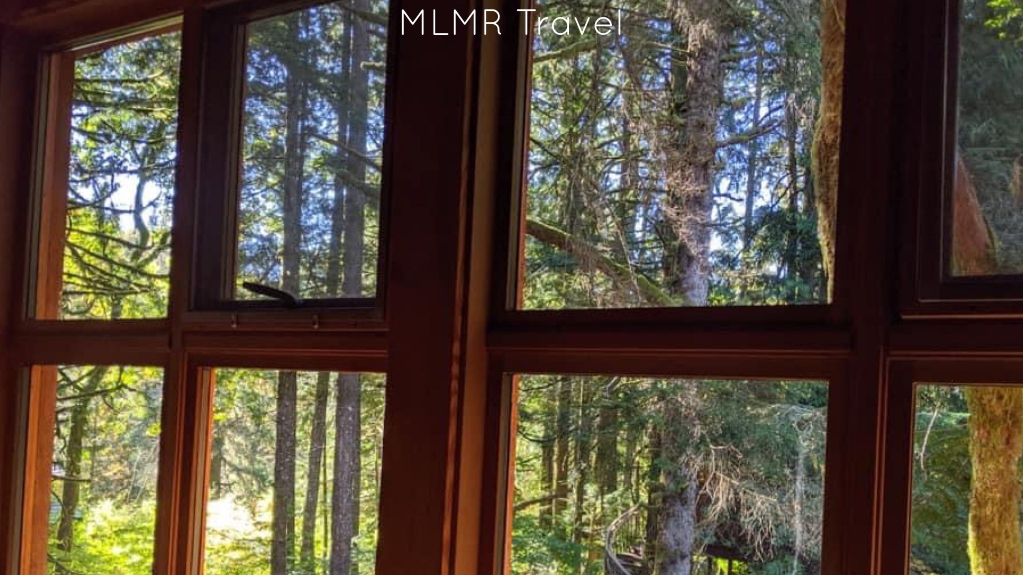 Why We chose a Trailer instead of getting a van