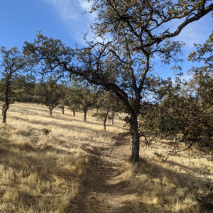 Hiking Bidwell Park in Chico,California