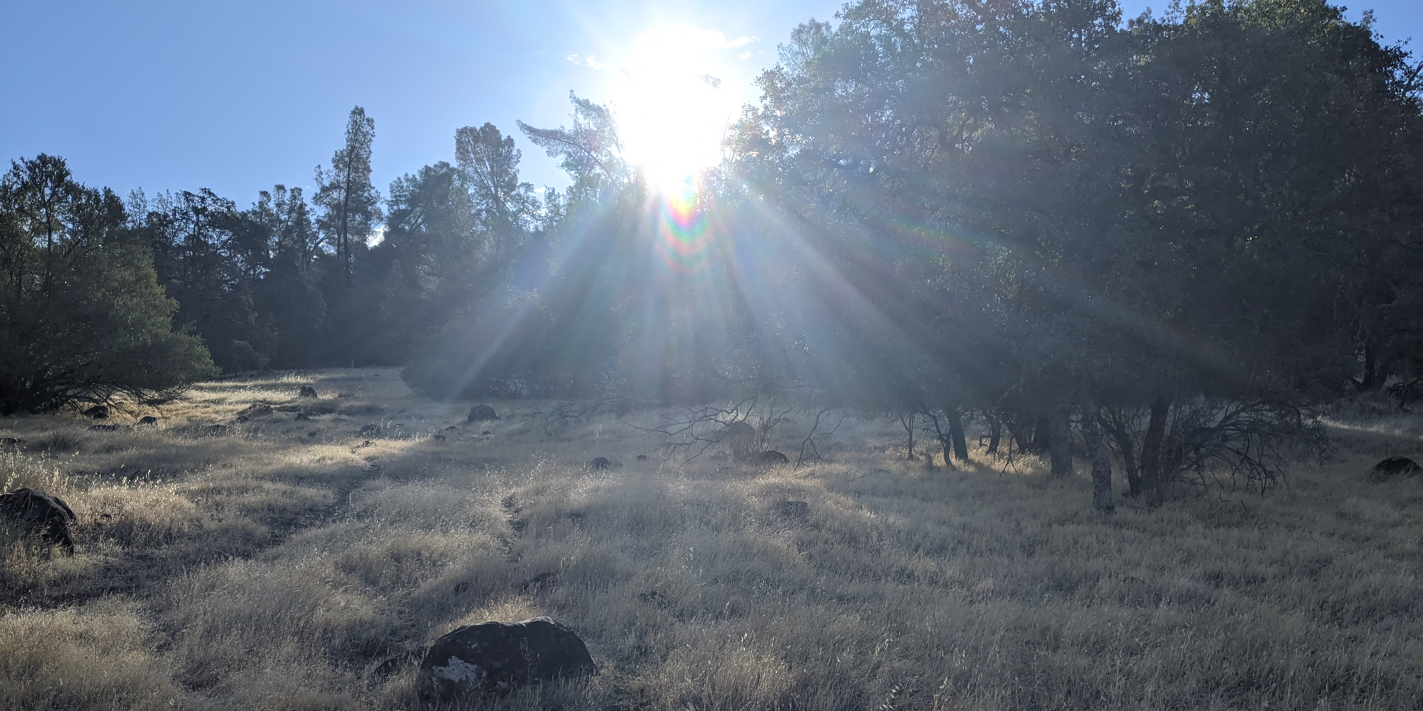 Hiking Bidwell Park in Chico