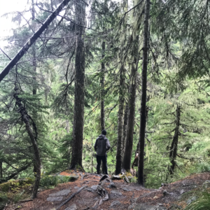 Hiking Adventures in Washington