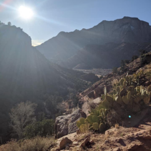 A year of hiking in review