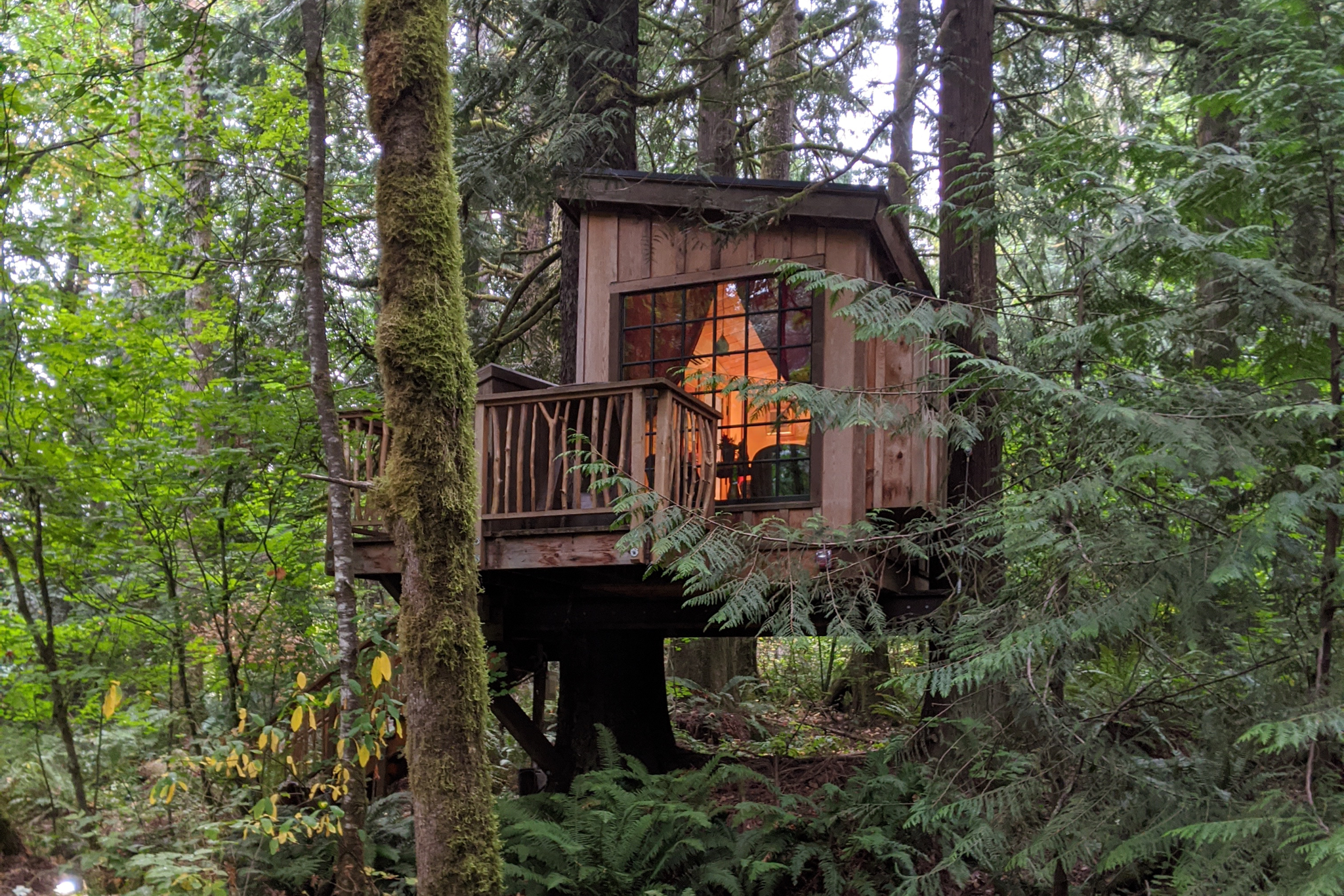 Treehouse in the woods at Treehouse Point