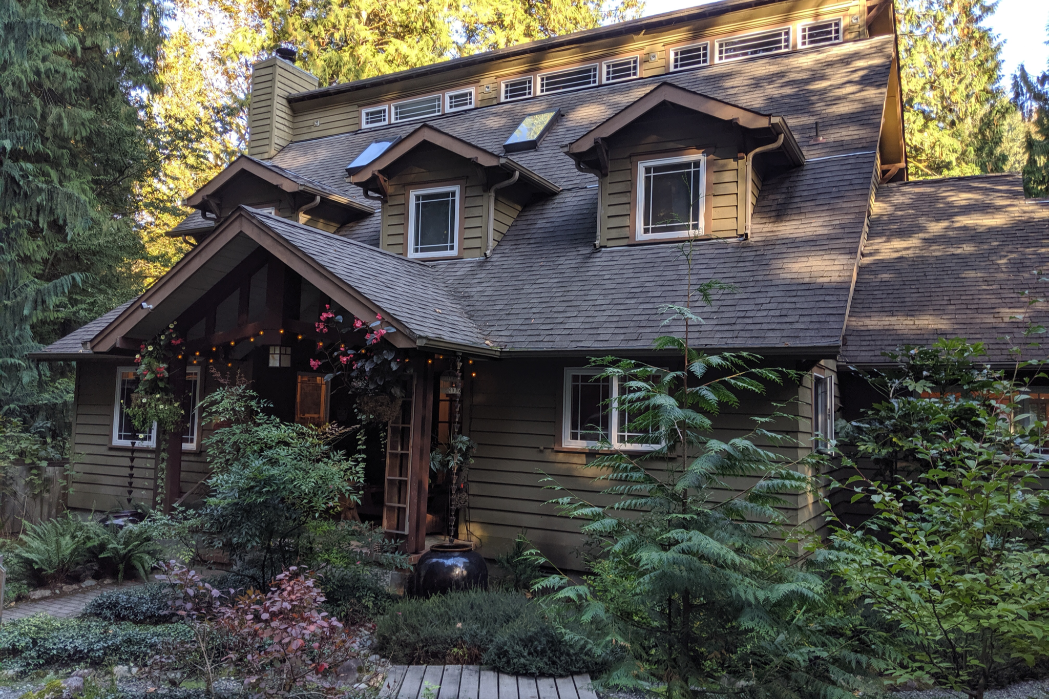 Lodge nestled in between trees