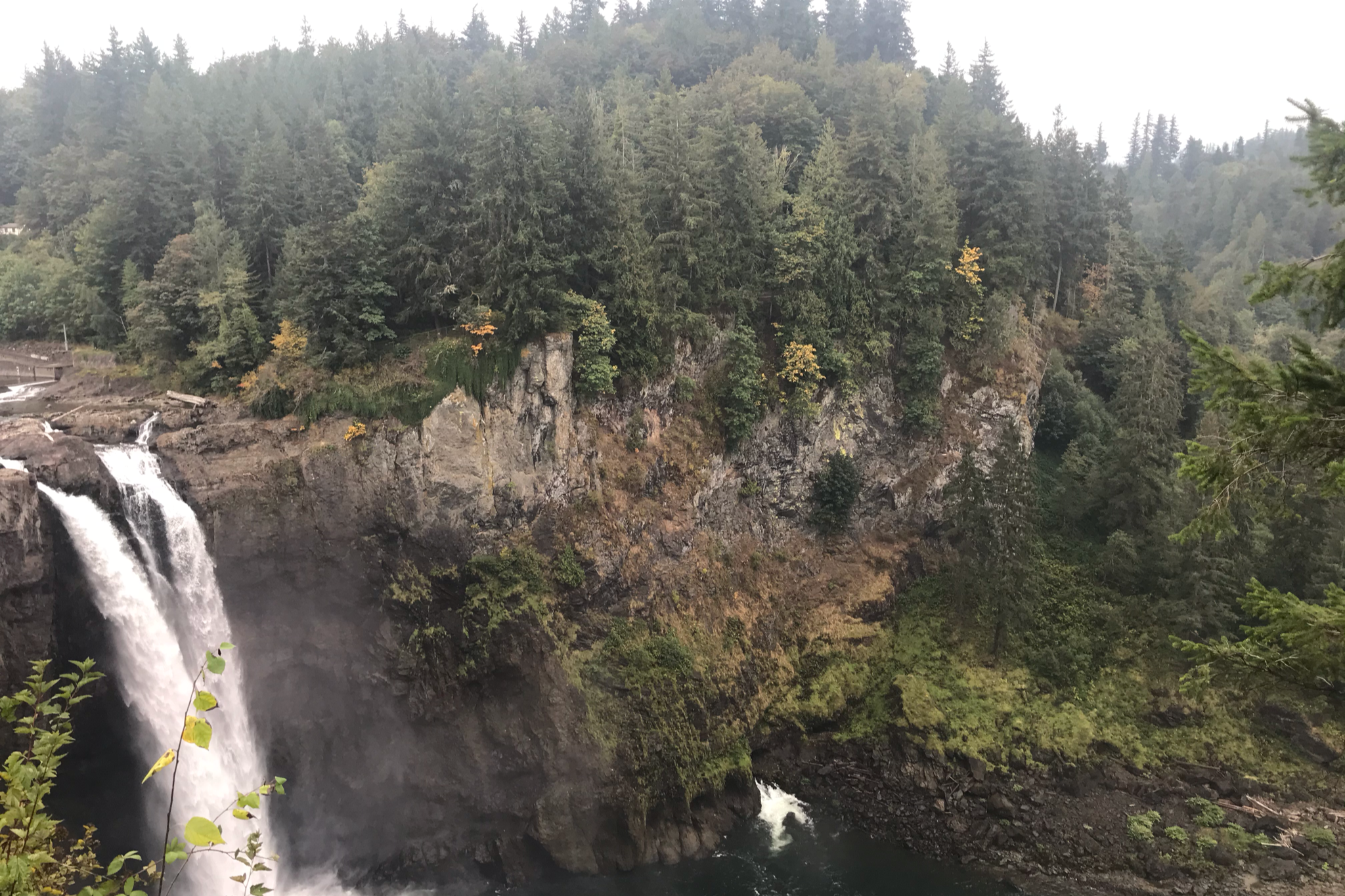 Waterfall surrounded by Washington Trees