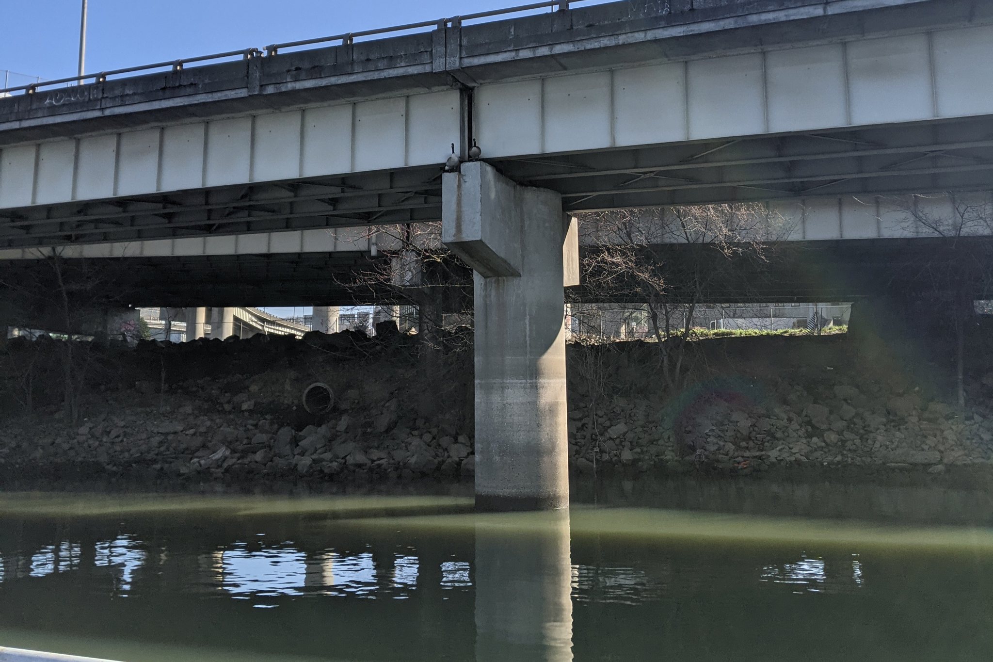 Dark green water below a minimalist underpass