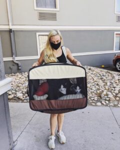 Travel cats in a soft pet carrier while traveling with cats